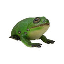 Lanka Novelties | Animals figurine | Green tree frog