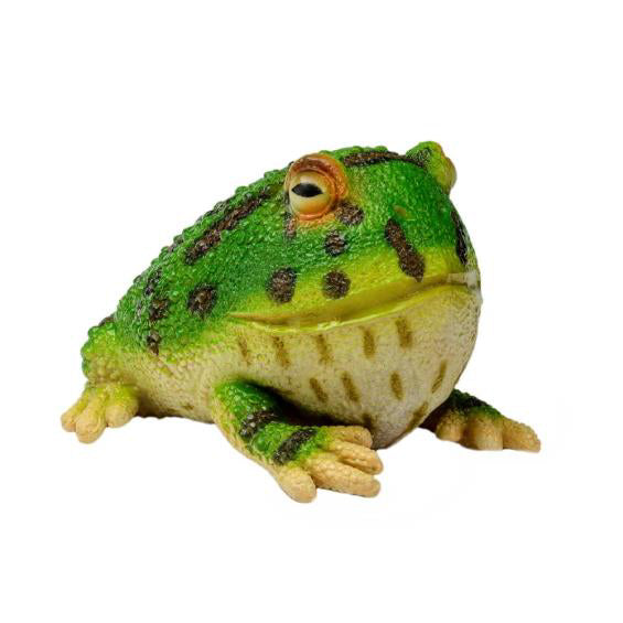 Lanka Novelties | Animals figurine | Argentine horned frog