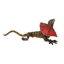 Lanka Novelties | Animals figurine | Platypus lizard