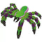 Zing | Toy Klixx Creaturez - Fidget Spider green-purple