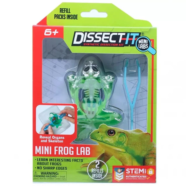 JOKER | Developmental kit Slimy Lab "Anatomy of animals - Frog" S