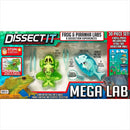 JOKER | Educational kit Slimy Lab "Anatomy of animals - Frog and Piranha"