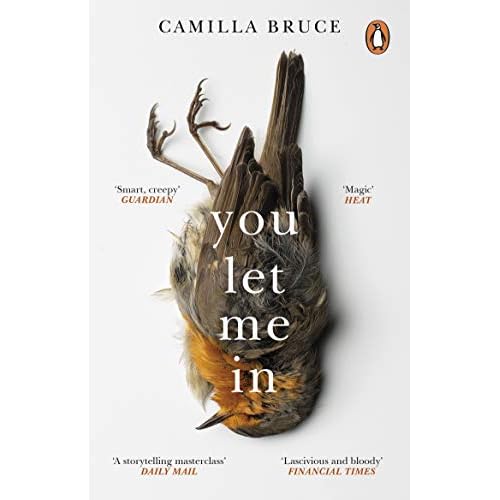 You Let Me In: The acclaimed, unsettling novel of haunted love, revenge and the nature of truth