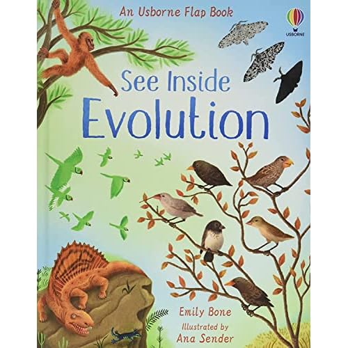 See Inside Evolution