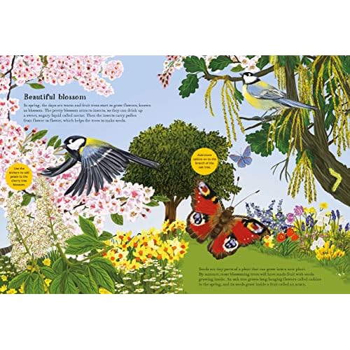 National Trust: Birch Trees, Bluebells and Other British Plants (National Trust Sticker Spotter Books)