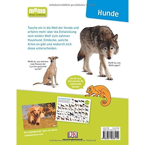 memo Wissen entdecken. Hunde: Windhund, Dackel, Labrador. Das Buch mit Poster!