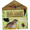 Bird House (A Clover Robin Book of Nature)