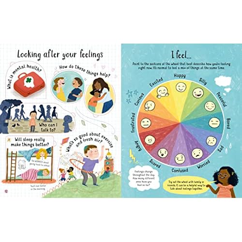 Lift-the-Flap Questions and Answers About Feelings (Questions & Answers)