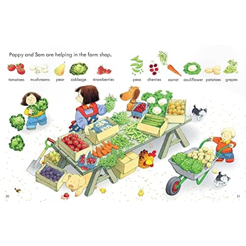 Poppy and Sam's First Word Book (Farmyard Tales Poppy and Sam)