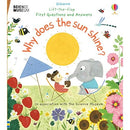 Why Does the Sun Shine? (Lift the Flap First Questions and Answers)