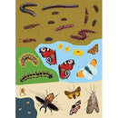 National Trust: Beetles, Butterflies and other Minibeasts (National Trust Sticker Spotter Books)