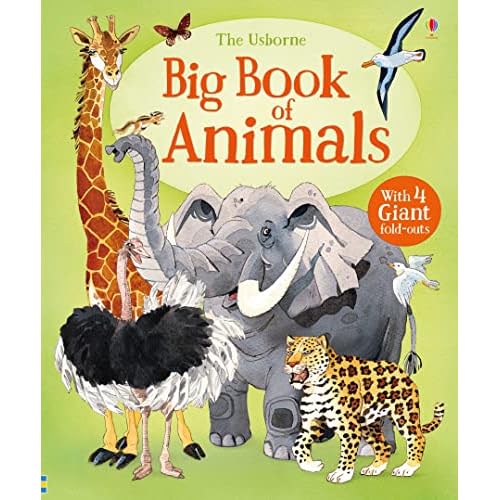 Big Book of Animals (Big Books) (Big Books of Big Things)