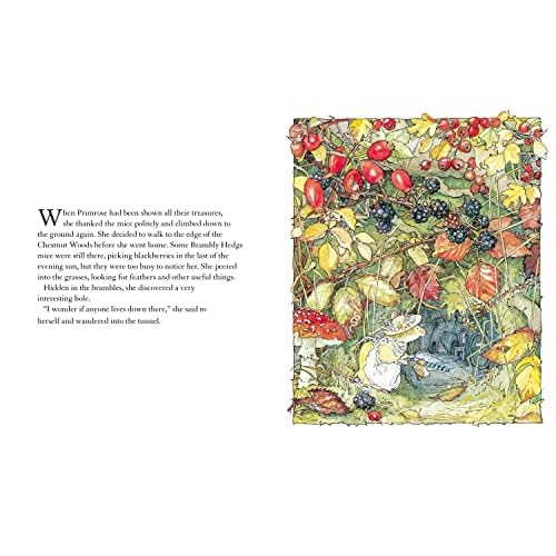 Autumn Story: Introduce children to the seasons in the gorgeously illustrated classics of Brambly Hedge!