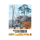 The Savannah: Lion 3D