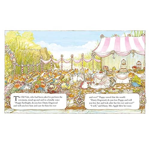 Summer Story (Brambly Hedge) (Brambly Hedge)