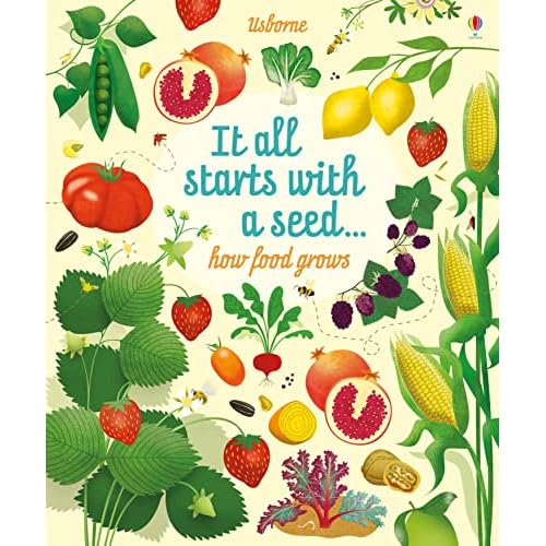 It all starts with a seed... How food grows