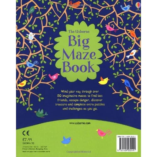 big maze book