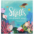 Shells: A Pop-Up Book of Wonder (4 Seasons of Pop-Up)