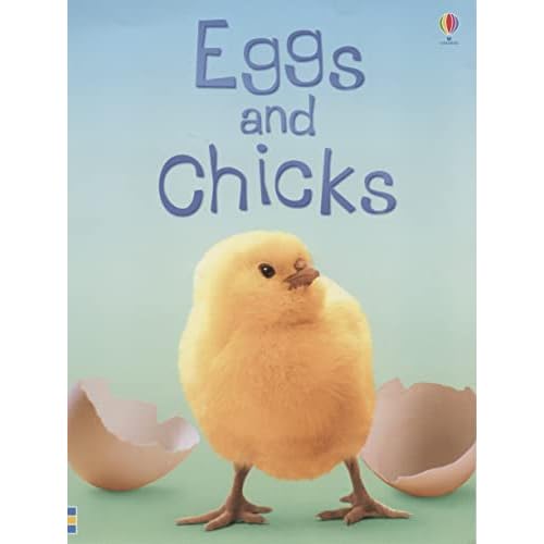 eggs and chicks