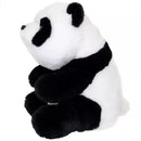 Aurora Soft Toy - Panda, 20 cm
