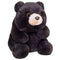 Aurora Soft Toy - Brown bear, 28 cm