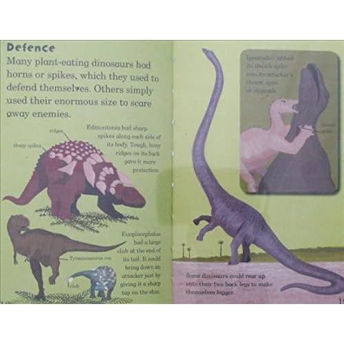 Ladybird Minis Mad About Dinosaurs