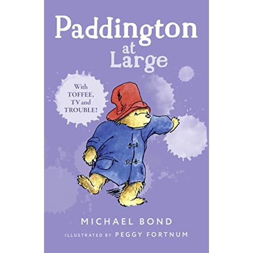 Paddington at Large