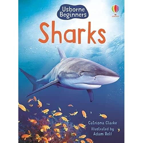 Sharks (Usborne Beginners) (Beginners Series)