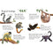 Zoo Animals to Spot - Usborne Minis