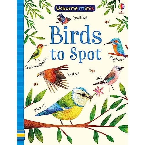 Birds to Spot - Mini book