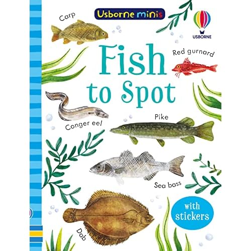 Fish to Spot - Usborne Minis