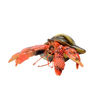 Lanka Novelties | Animals figurine | Red hermit crayfish with a shell