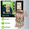 Mr. Playwood | Forest Spirit “Moneybox” | Mechanical Wooden Model