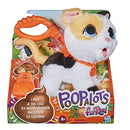 Hasbro | FURREAL FRIENDS | A mischievous pet Big kitten