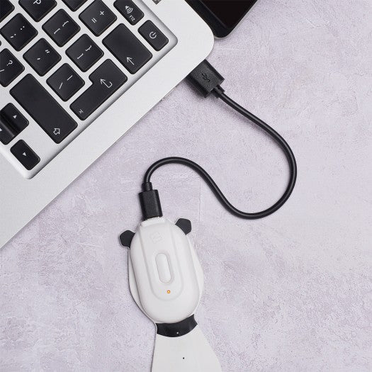 Flexilight Bookmark-flashlight Rechargeable - Panda