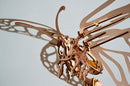 UGEARS - Mechanical Wooden Models - Butterfly model kit
